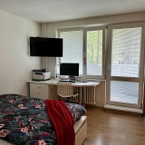 IMG 7473